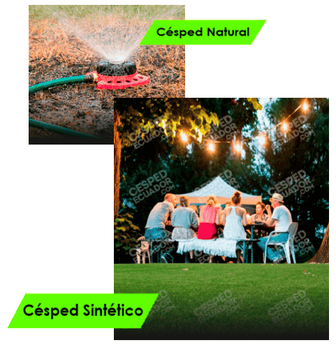 Césped Sintético vs Natural