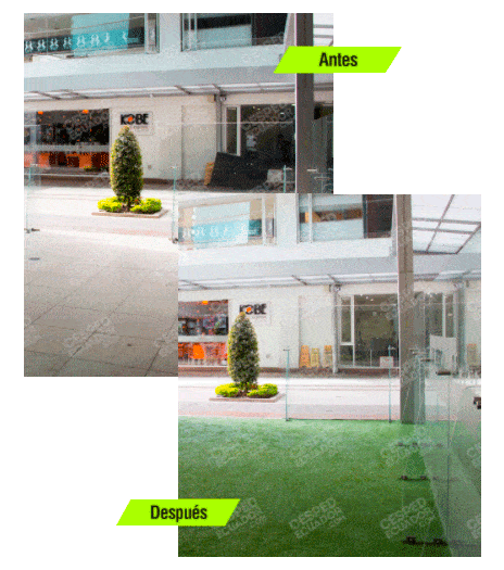 Antes vs. Después Inicio Antes vs. Después Inicio